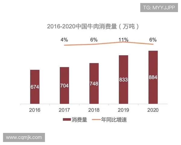 北京排球队速度分析与表现评估：数据背后的故事与启示