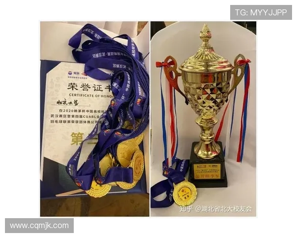 深圳羽毛球队的比赛经验分享与成长之路探讨